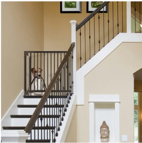 Expandable Walk Thru Pet Gate